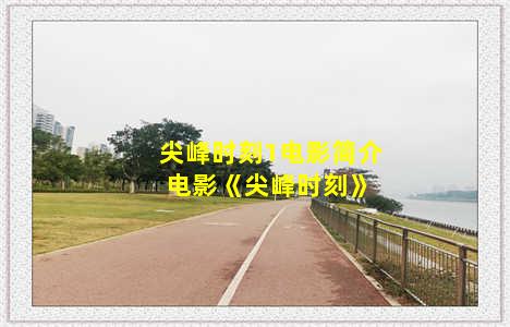 尖峰时刻1电影简介 电影《尖峰时刻》